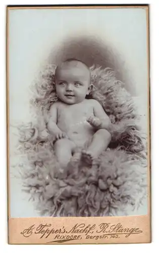 Fotografie A. Teppe, Berlin-Rixdorf, Bergstr. 140, Portrait niedliches Baby nackt auf einem Fell liegend