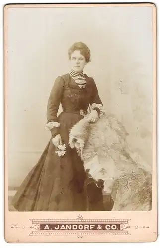 Fotografie A. Jandorf & Co., Berlin, Leipziger-Str. 64, Junge Dame im Kleid lehnt an einem Fell