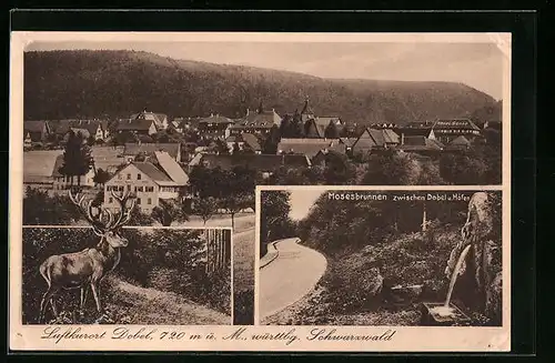 AK Dobel /Schwarzwald, Ortsansicht, Mosesbrunnen, Hirsch im Wald