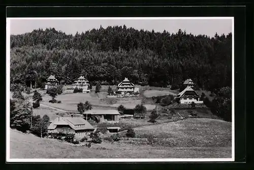 Foto-AK Hinterzarten, Ortsansicht mit Wald