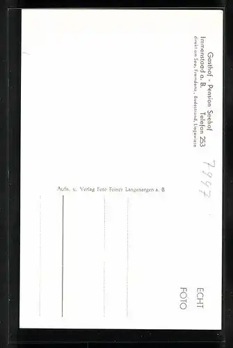 AK Immenstaad a. B., Gasthof-Pension Seehof mit Steinbank