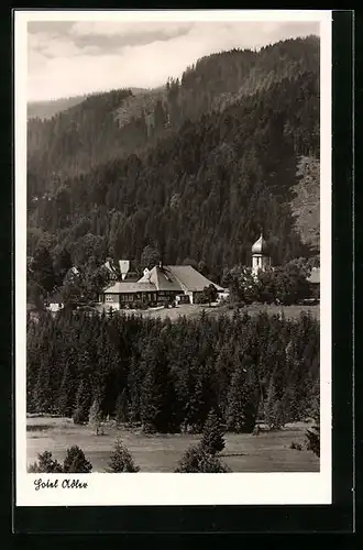 AK Hinterzarten /Hochschwarzwald, Hotel Adler und Adlerwirtshaus