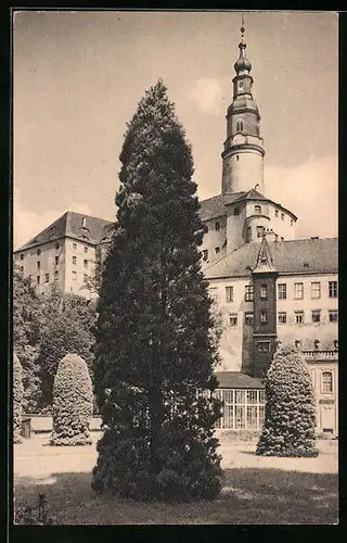 AK Weesenstein, Parkbild aus dem Schloss