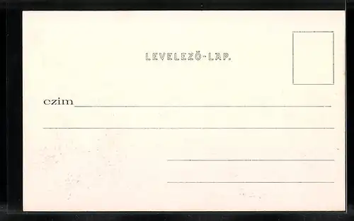 AK Budapest, Museumring, Strassenbahn