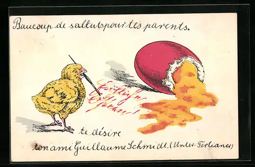 AK Osterküken mit gekochtem Osterei