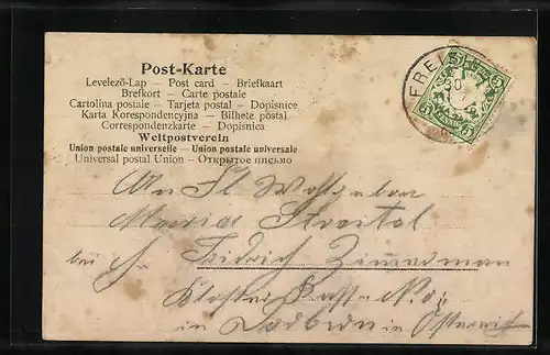 AK Neujahrsgruss mit Damen, Jahreszahl 1905