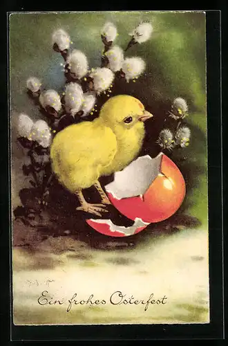 AK Osterküken mit Weidenkätzchen