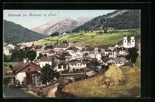 AK Steinach /Brenner, Ortspartie mit Gebirgspanorama