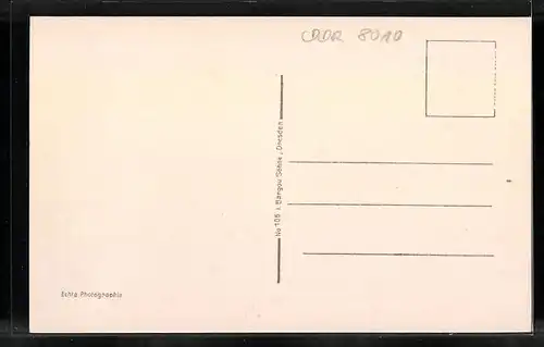 AK Dresden, Schloss und Kath. Hofkirche