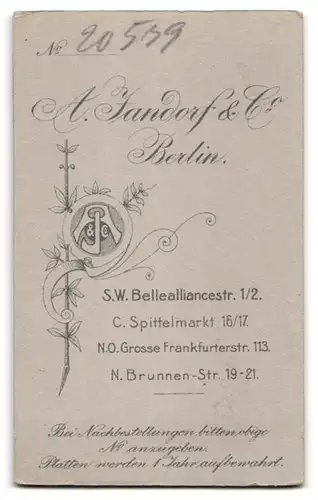 Fotografie A. Zandorf & Co., Berlin S.W., Bellealliancestrasse 1 /2, Junger Mann mit Schnauzer und Uhrenkette