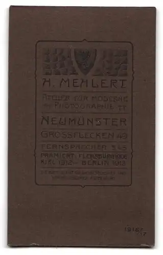 Fotografie H. Mehlert, Neumünster, Grossflecken 49, Junge Frau mit Mittelscheitel in gestreiftem Kleid