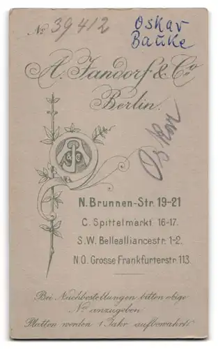 Fotografie A. Jandorf & Co., Berlin-N., Brunnen-Str. 19-21, Halbwüchsiger Knabe im Mantel mit Fliege