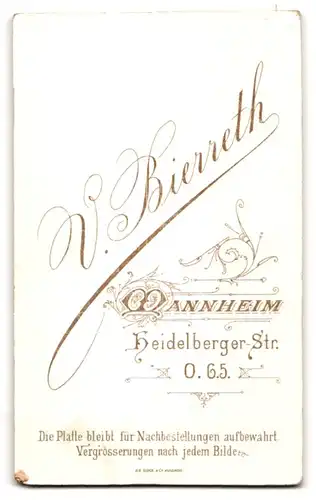 Fotografie V. Bierreth, Mannheim, Heidelberger-Str. O. 6. 5., Junge Dame im hübschen Kleid