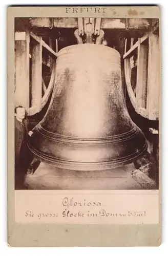 Fotografie unbekannter Fotograf, Ansicht Erfurt, Gloria die grosse Glocke im Dom