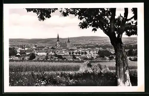AK Wischau, Gesamtansicht mit Kirchen