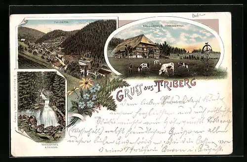 Lithographie Triberg, Teilansicht, Bauernhaus im Schwarzwald, Wasserfall