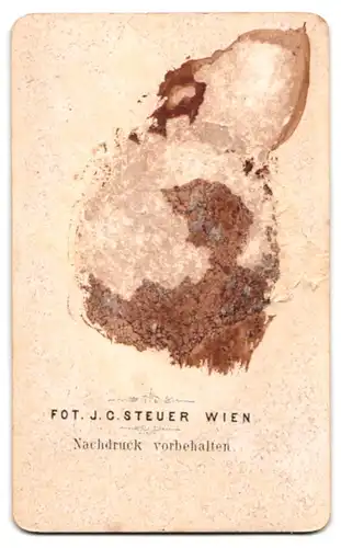 Fotografie J. C. Steuer, Wien, Portrait Forscher Robert Boyle