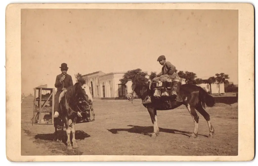 Fotografie Samuel Rimathe, Ort unbekannt, argentinische Milch und Hühnerhändler zu Pferd, Lechery y gallinero 0