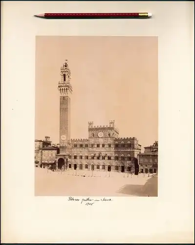 Fotografie unbekannter Fotograf, Ansicht Siena, Palazzo Publico & Ladengeschäft Mobilia um 1905