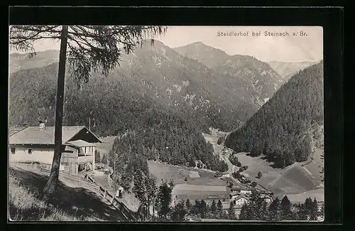 AK Steinach a. Br., Der Steidlerhof, Ansicht mit Bergen