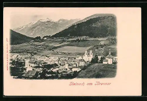 AK Steinach am Brenner, Ortsansicht mit Feldern und Bergen