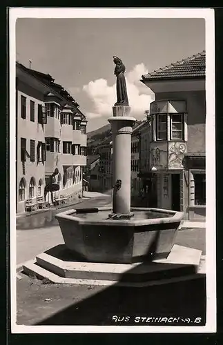 AK Steinach a. B., Strassenpartie mit Brunnen