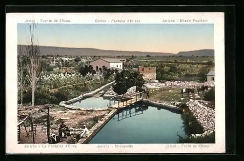 AK Jericho, Elisaquelle