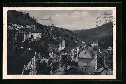 AK Johannisbad / Janske Lazne, Teilansicht aus der Vogelschau