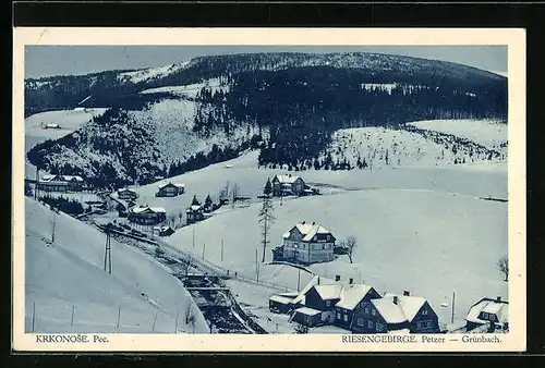 AK Petzer-Grünbach /Riesengebirge, Teilansicht im Schnee