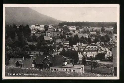 AK Spindelmühle /Riesengebirge, Panorama
