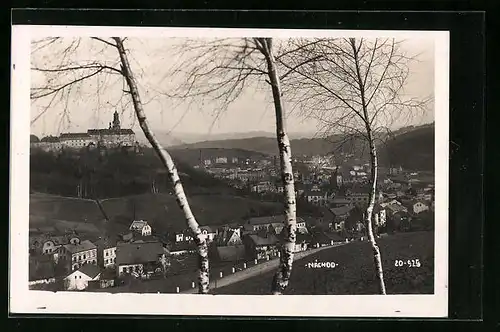 AK Nachod, Ortsansicht aus der Vogelschau hinter Birken