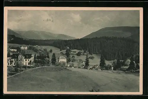 AK Spindelmühle / Spindleruv Mlyn, Teilansicht hinter einer Wiese