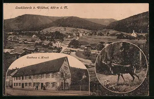 AK Enzklösterle b. Wildbad, Gasthaus zum Hirsch, Teilansicht mit Strassenpartie