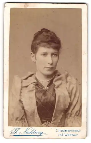 Fotografie Th. Nachtwey, Crimmitschau, Thiemestr., Junge Dame mit hochgestecktem Haar