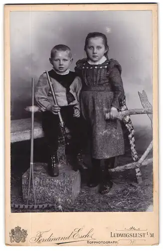Fotografie Ferdinand Esch, Ludwigslust i /M., Breite Str. 3, Mädchen im Kleid und kleiner Junge mit Peitsche