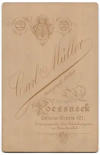 Fotografie Carl Müller, Poessneck, Schleizer Strasse 421, Junge Dame mit Hochsteckfrisur und Kragenbrosche