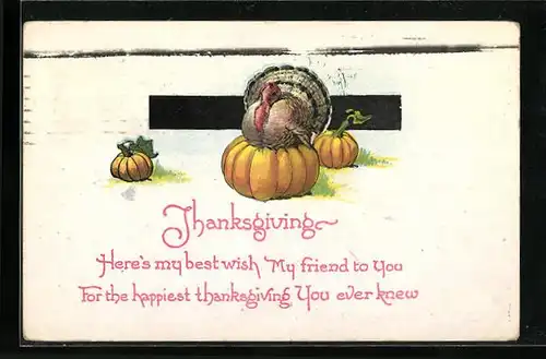 AK Turkey sitting on Pumpkin, Thanksgiving