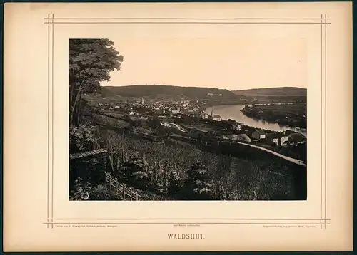 Fotografie German Wolf, Constanz, Ansicht Waldshut, Blick vom Weinberg zum Ort mit Flusslauf und Kirche