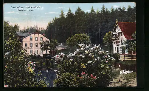 AK Dresden, Gasthof zur Haidemühle in der Dresdner Heide