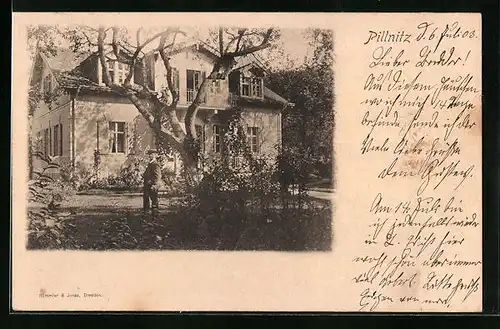 AK Pillnitz, Gebäude mit Garten und Baum
