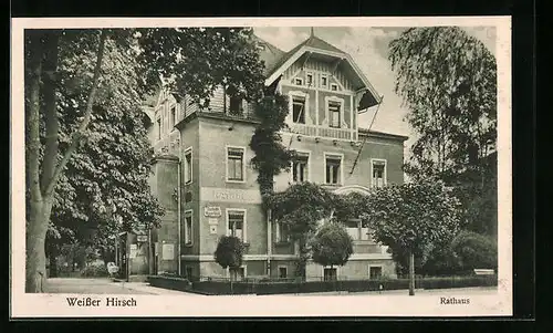 AK Dresden-Weisser Hirsch, Rathaus mit Bäumen