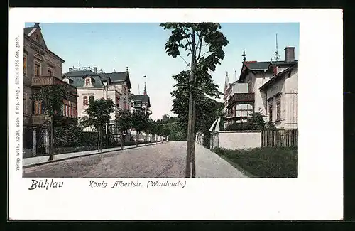 Goldfenster-AK Dresden-Bühlau, König Alberstrasse, Waldende