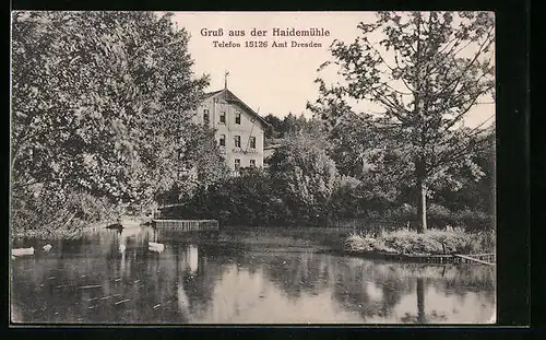 AK Dresden, Haidemühle vom Wasse aus