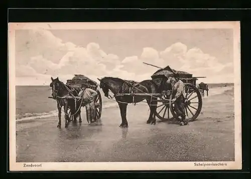 AK Zandvoort, Schelpenvisschers