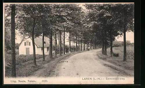 AK Laren, Eemnesserweg