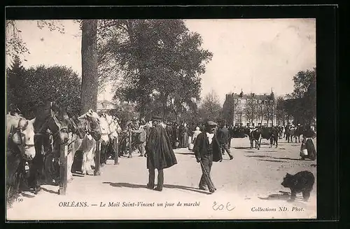 AK Orleáns, Le Mail Saint-Vincent en jour de marché