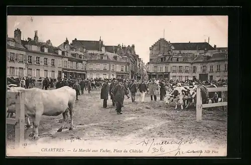 AK Chartres, Le Marché aux Vaches, Place du Châtelet