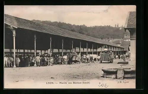 AK Lyon, Marché aux Bestiaux