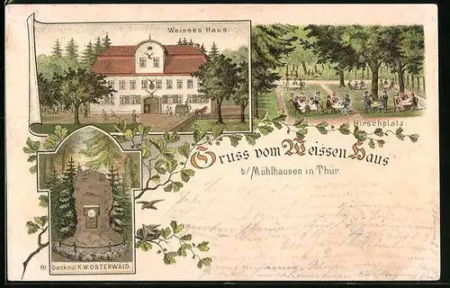 Lithographie Mühlhausen / Thür., Gasthaus Weisses Haus mit Hirschplatz und Denkmal K. W. Osterwald
