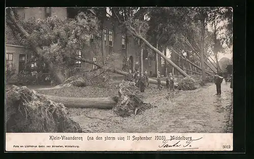 AK Klein-Vlaanderen-Middelburg, Herausgerissene Bäume nach einem Unwetter